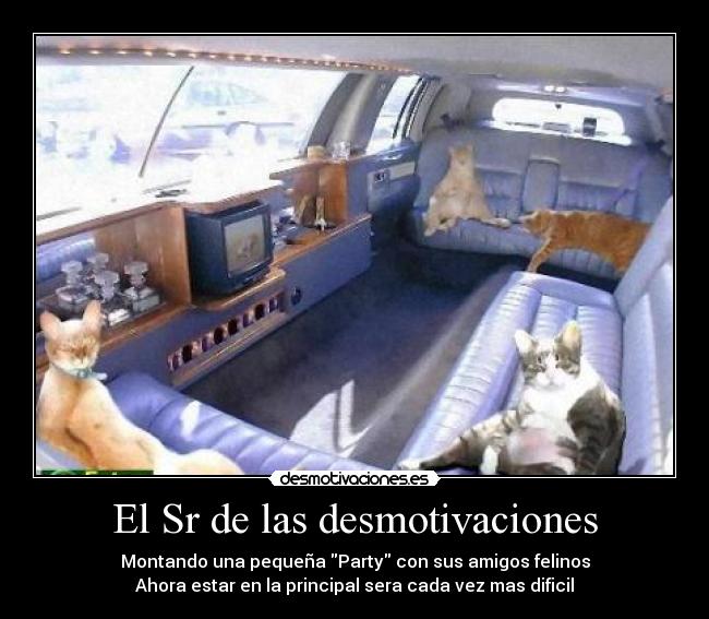 El Sr de las desmotivaciones -