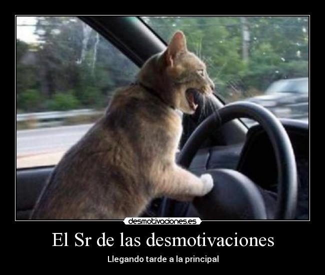 El Sr de las desmotivaciones -