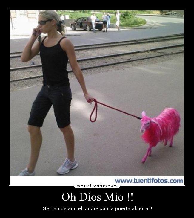 Oh Dios Mio !! - Se han dejado el coche con la puerta abierta !!
