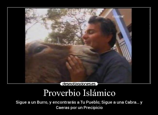 Proverbio Islámico - Sigue a un Burro, y encontrarás a Tu Pueblo; Sigue a una Cabra... y
Caeras por un Precipicio