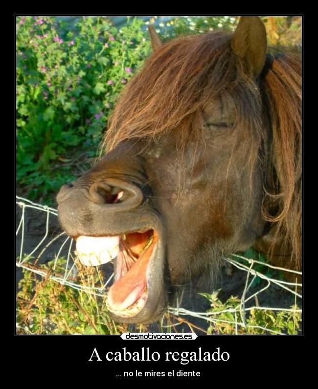 A caballo regalado -