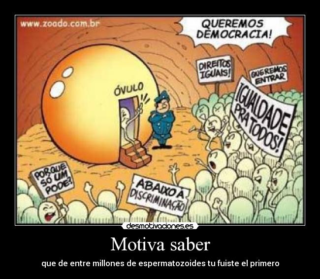 Motiva saber - que de entre millones de espermatozoides tu fuiste el primero