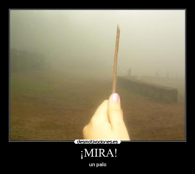 ¡MIRA! - 
