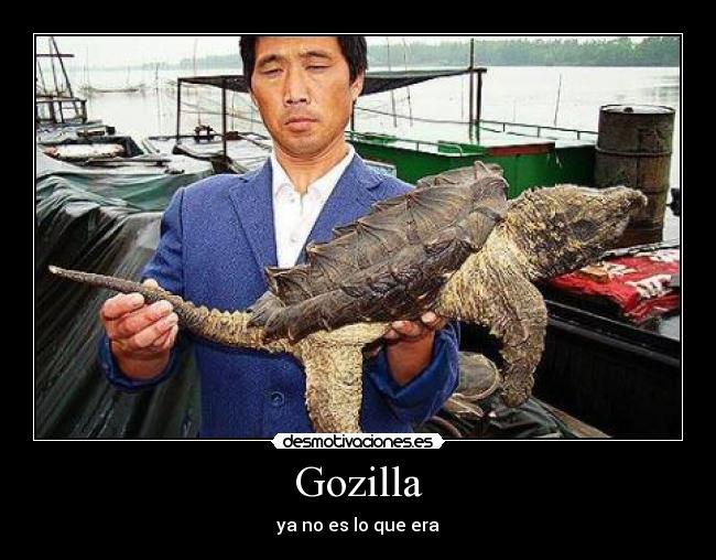 Gozilla - 