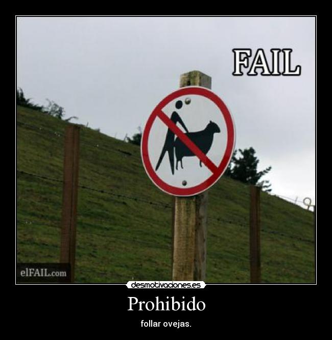 Prohibido - follar ovejas.