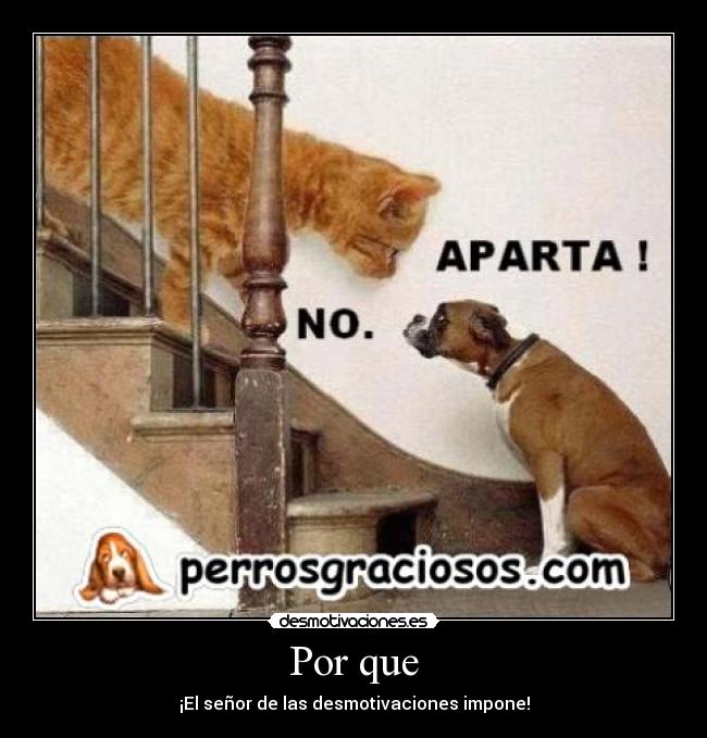 Por que -