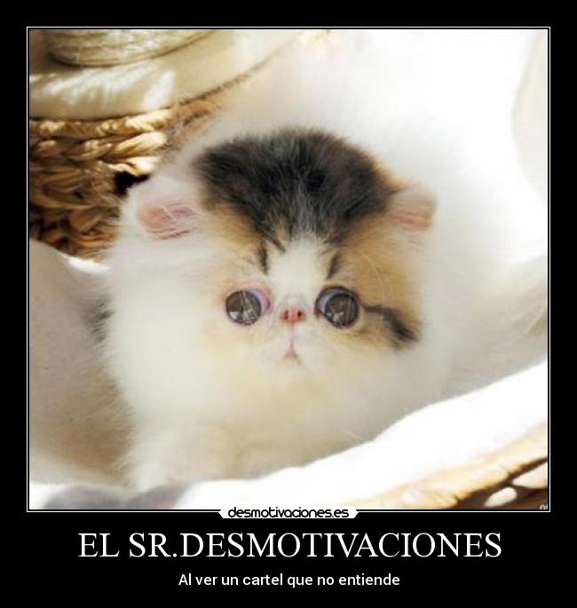 EL SR.DESMOTIVACIONES - 