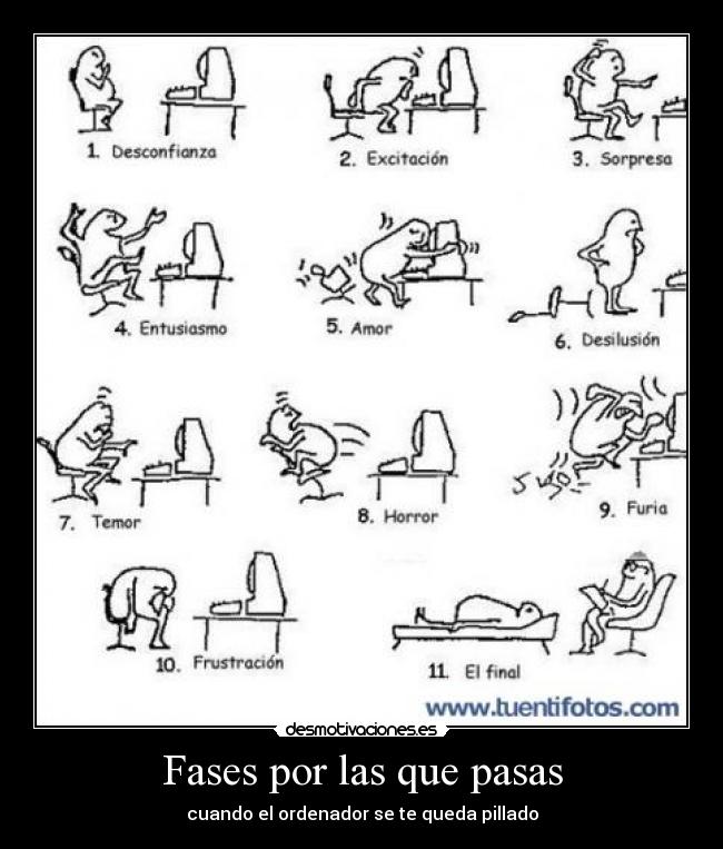 Fases por las que pasas - 