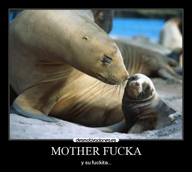 MOTHER FUCKA -