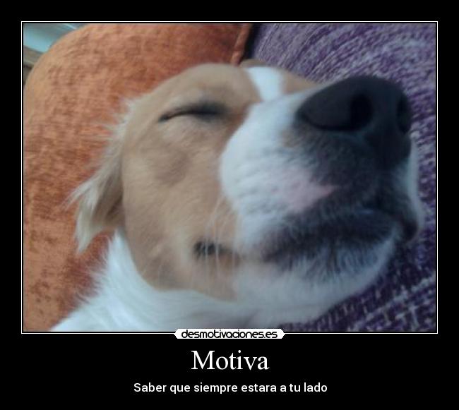 Motiva - Saber que siempre estara a tu lado