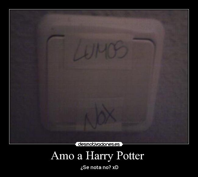 Amo a Harry Potter -