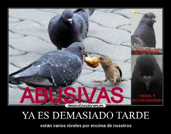 YA ES DEMASIADO TARDE - están varios niveles por encima de nosotros