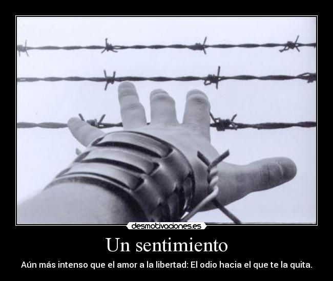carteles sentimiento libertad odio desmotivaciones