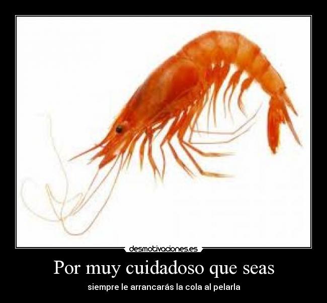 Por muy cuidadoso que seas - 