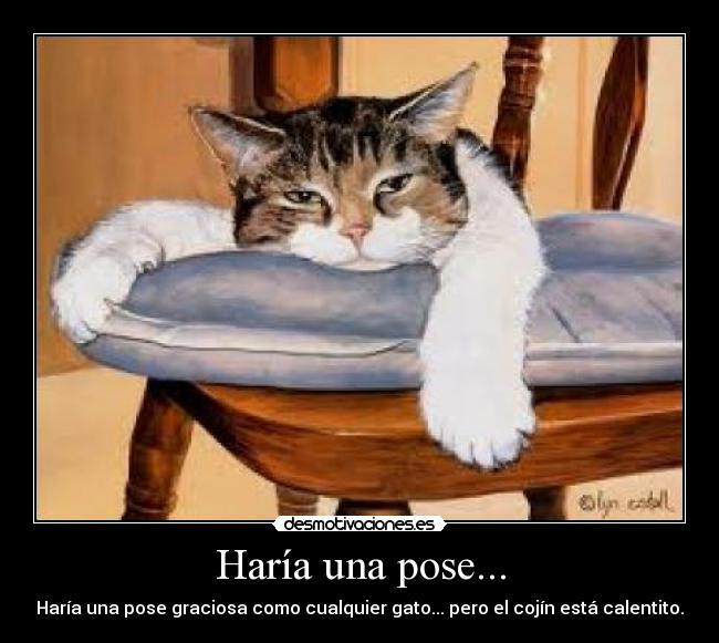 Haría una pose... - Haría una pose graciosa como cualquier gato... pero el cojín está calentito.