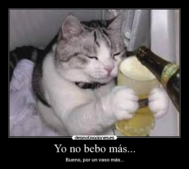 Yo no bebo más... - Bueno, por un vaso más...