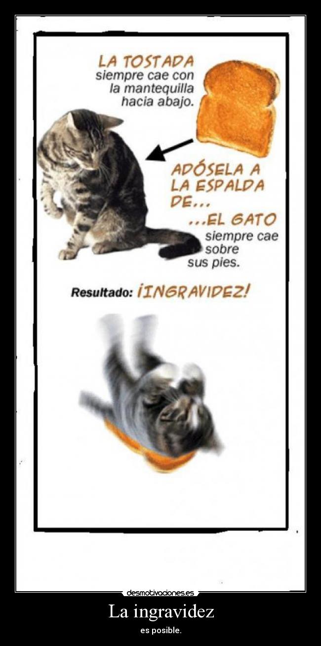 La ingravidez - es posible.