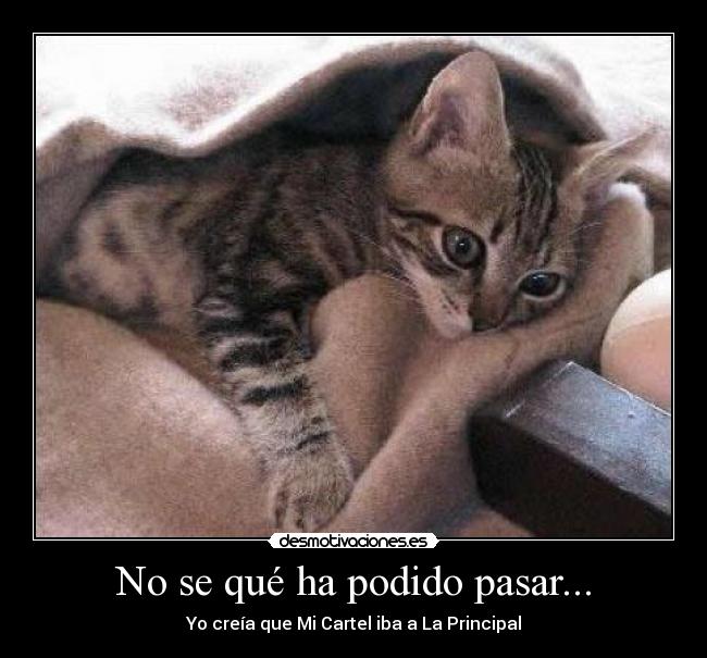 No se qué ha podido pasar... - Yo creía que Mi Cartel iba a La Principal