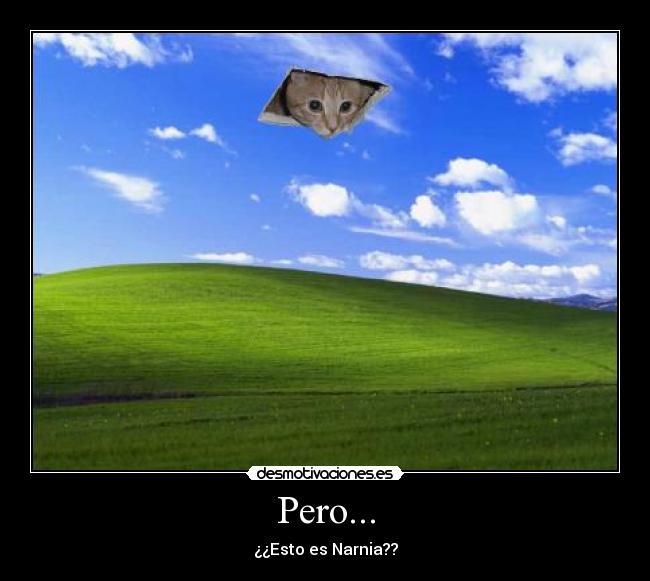 carteles pero esto narnia desmotivaciones