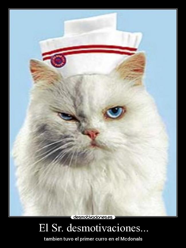 El Sr. desmotivaciones... -