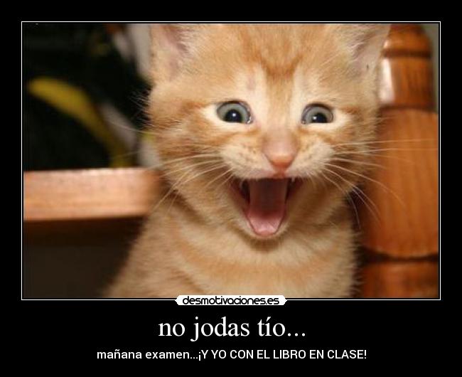no jodas tío... - mañana examen...¡Y YO CON EL LIBRO EN CLASE!