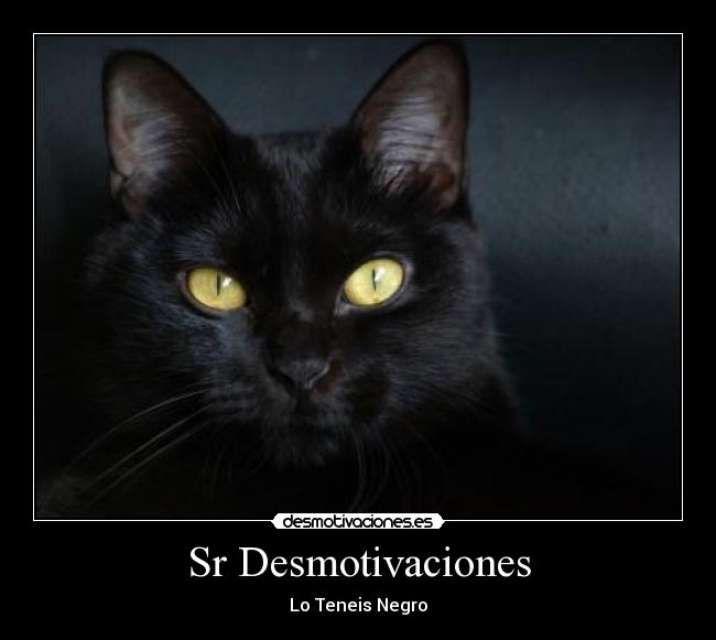 Sr Desmotivaciones - 