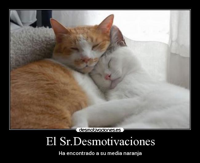 El Sr.Desmotivaciones - 