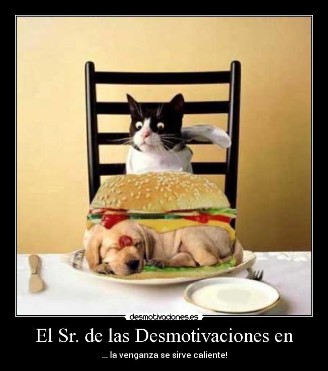 El Sr. de las Desmotivaciones en - 