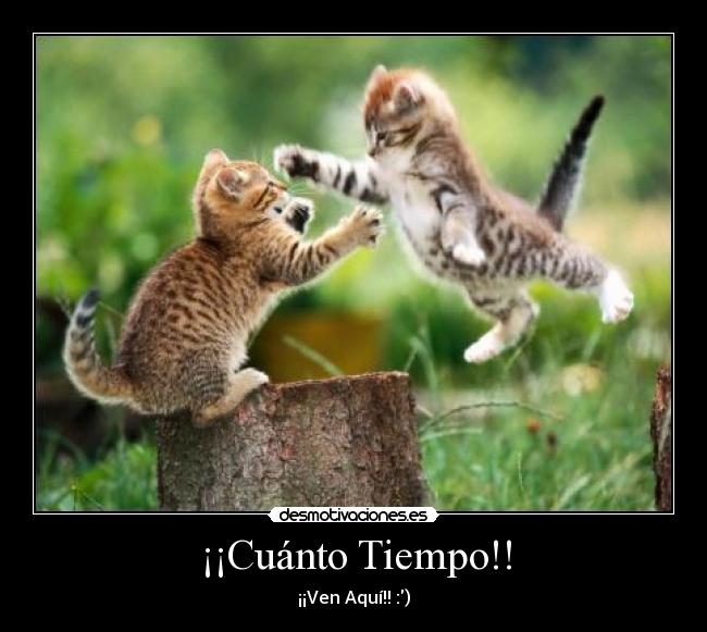 ¡¡Cuánto Tiempo!! -