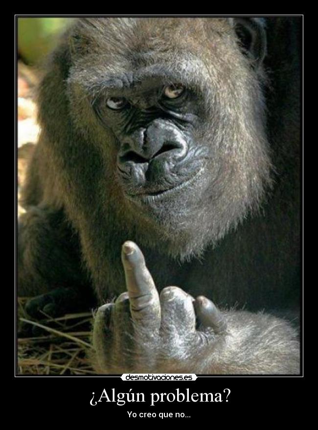 carteles algun problema desmotivaciones