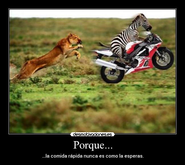 Porque... -