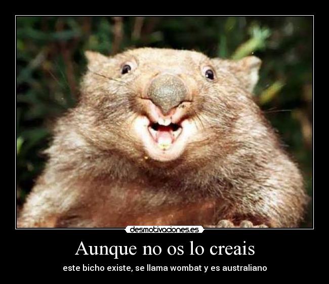 Aunque no os lo creais -