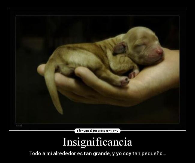 Insignificancia -