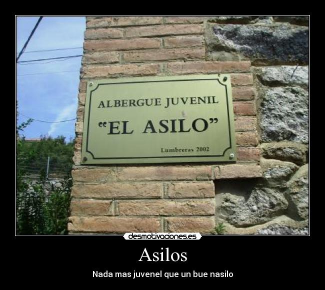 Asilos -