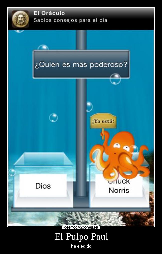 El Pulpo Paul - ha elegido