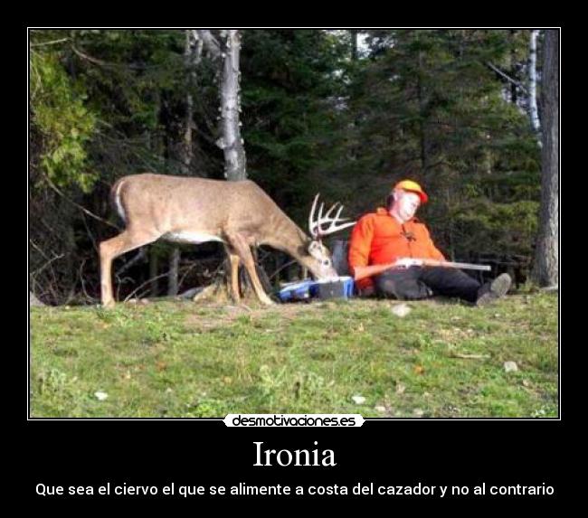 Ironia - 