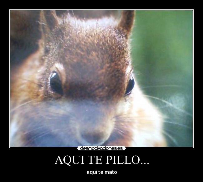 AQUI TE PILLO... - aqui te mato