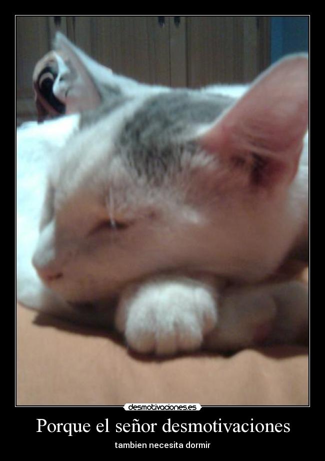Porque el señor desmotivaciones -