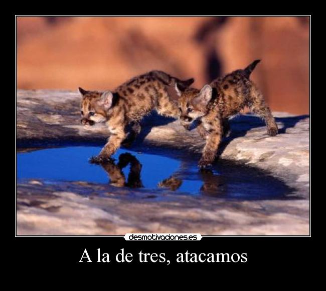 A la de tres, atacamos -