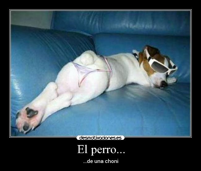 carteles  desmotivaciones