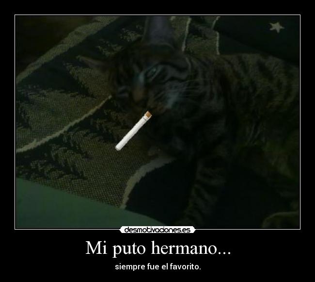 Mi puto hermano... - 