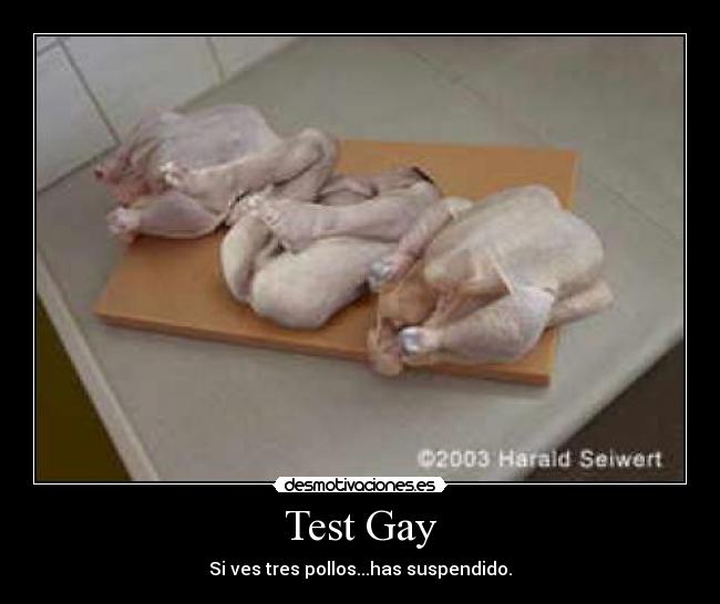 Test Gay - 