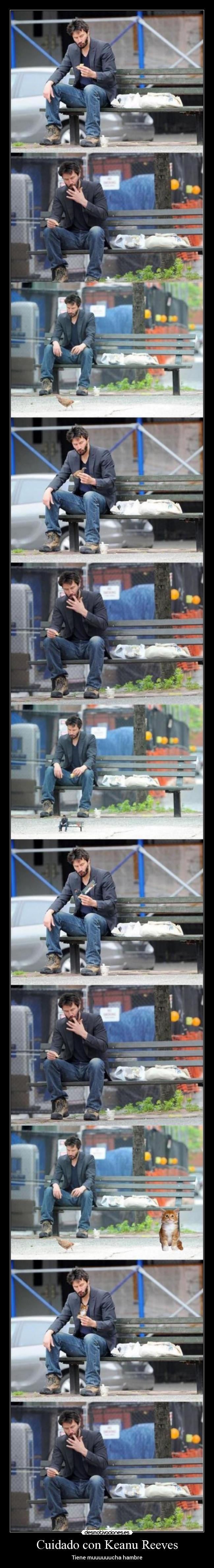 carteles meme desmotivacion g00n desmotivaciones