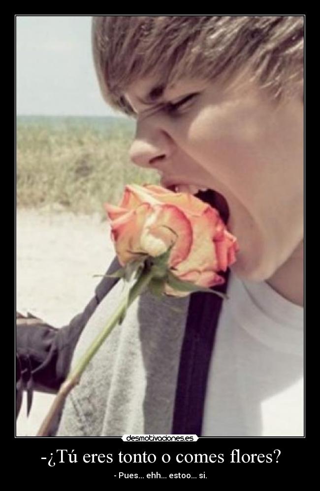 carteles tonto justin comes flores tonto desmotivaciones