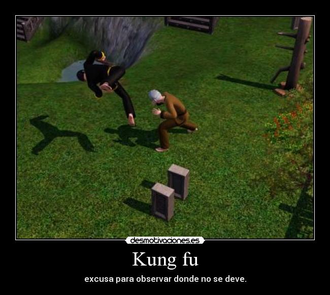 Kung fu -