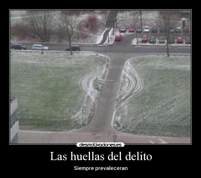 Las huellas del delito - 