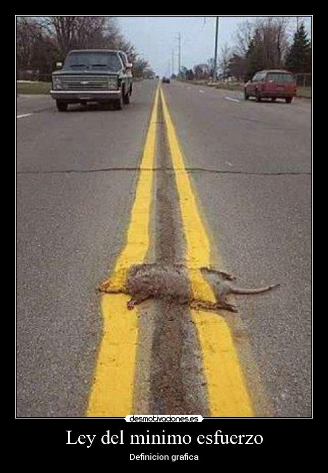 Ley del minimo esfuerzo -