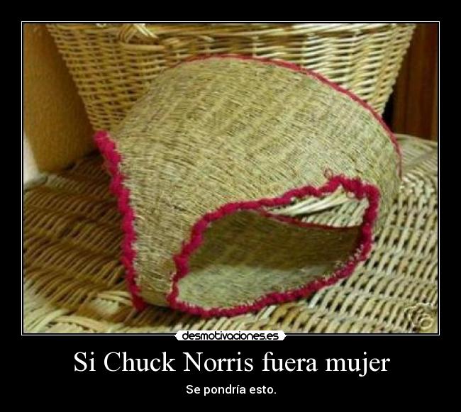 Si Chuck Norris fuera mujer - 
