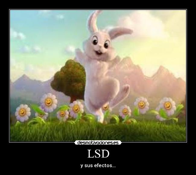 LSD -