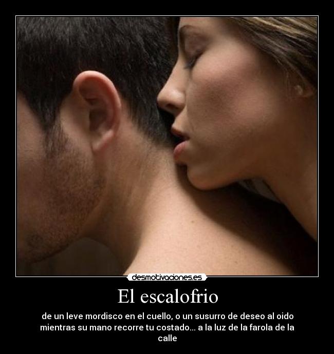 El escalofrio - de un leve mordisco en el cuello, o un susurro de deseo al oido
mientras su mano recorre tu costado... a la luz de la farola de la
calle